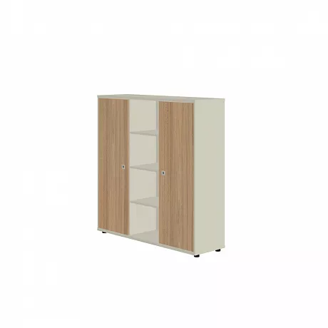 Шкаф-купе R-87 